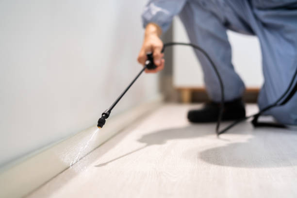 Licensed Pest Control service in Stokesdale, NC - Show Me Pest Control