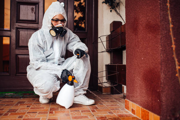 Reliable Wasp Removal contractor in Stokesdale, NC by Show Me Pest Control